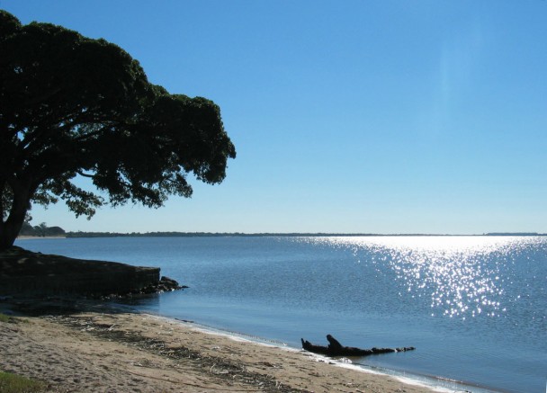 Praia de de água doce de São Lourenço do Sul, Rio Grande do Sul, com árvore às margens da Lagoa dos Patos