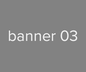 Banner 300x250 [3]