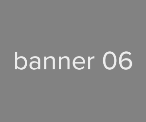 Banner 300x250 [6]