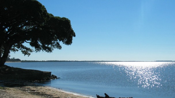 Praia de de água doce de São Lourenço do Sul, Rio Grande do Sul, com árvore às margens da Lagoa dos Patos